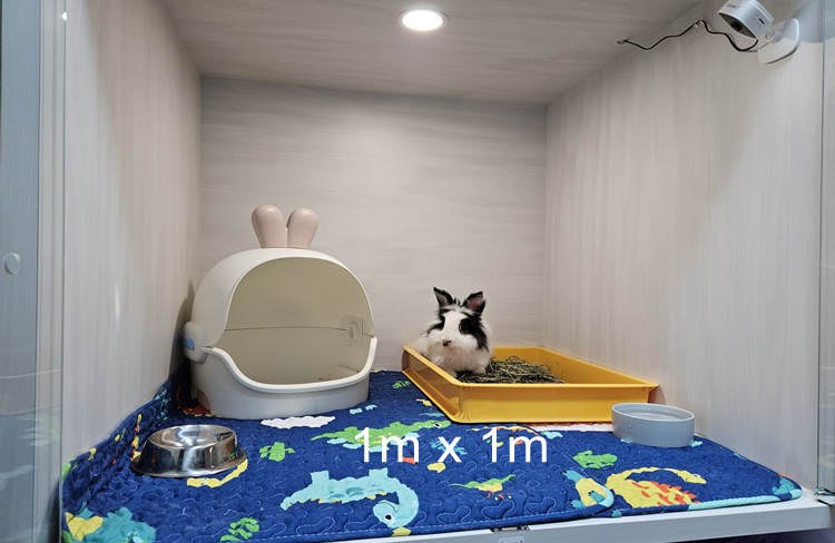 Bunnify Rabbit Boarding